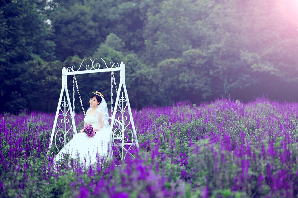 薰衣草婚纱照