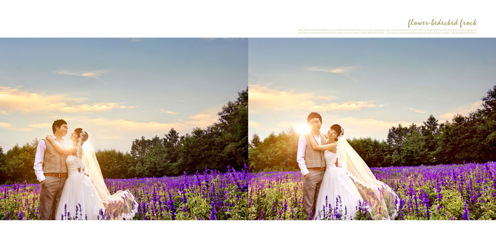 薰衣草婚纱照