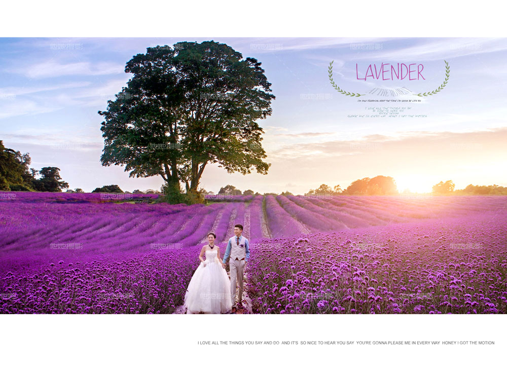 薰衣草婚纱照