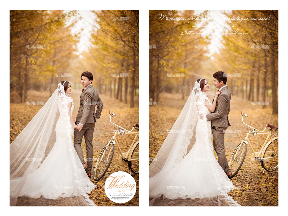 银杏婚纱照