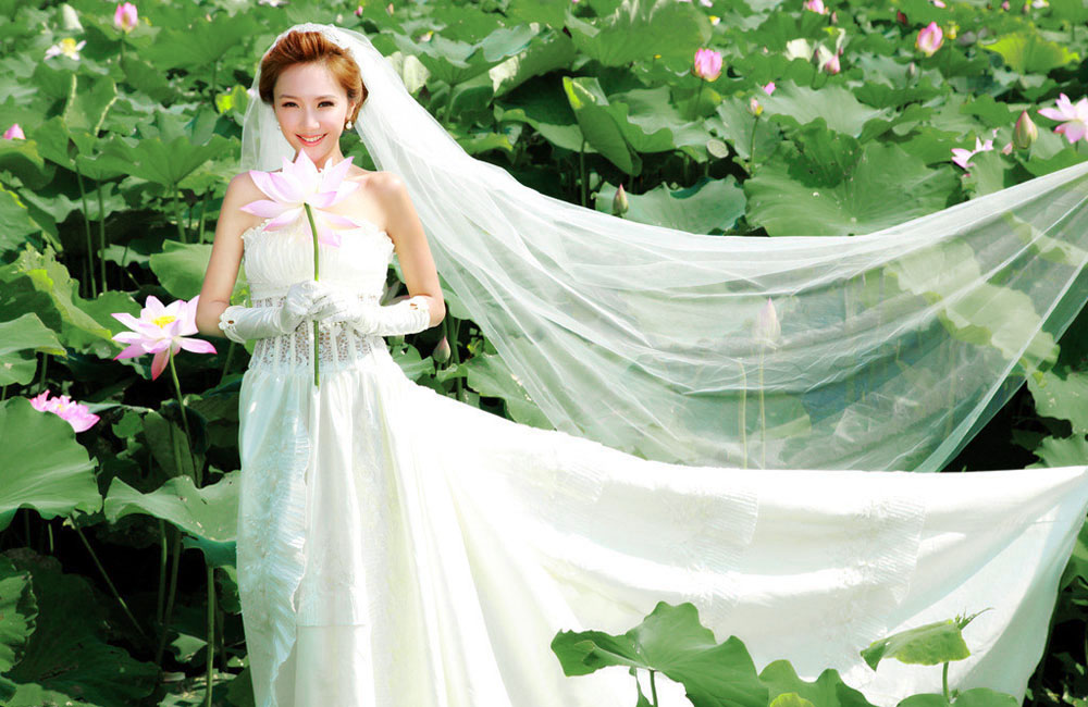 荷塘月色婚纱照