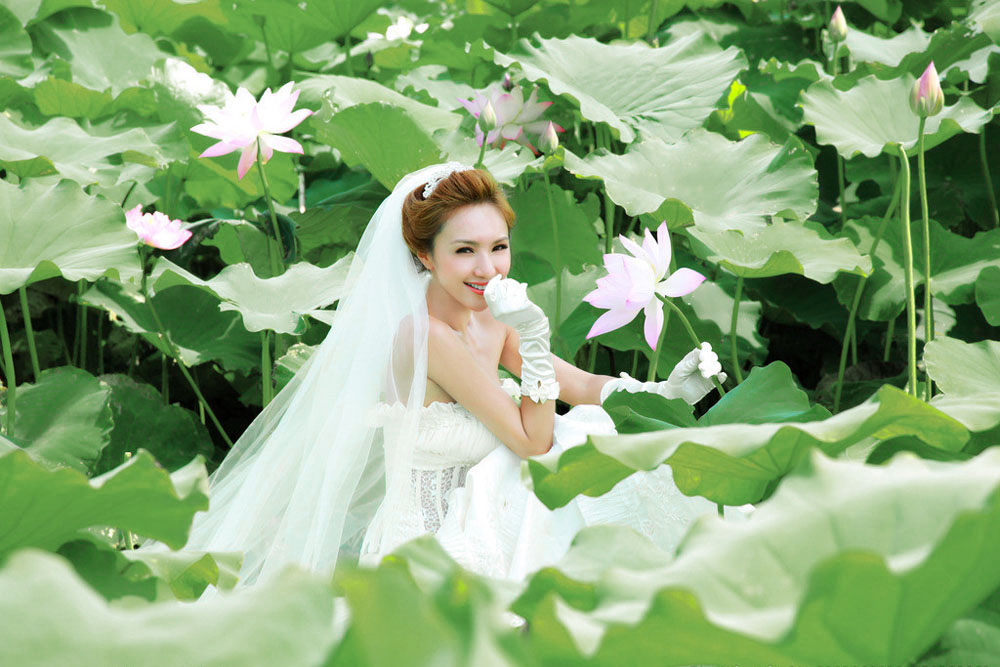 荷塘月色婚纱照