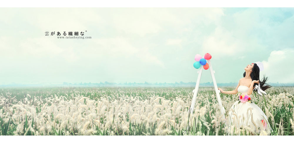 太平寺机场婚纱照