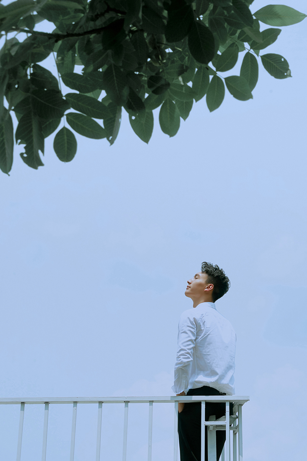 成都/晴日的温柔