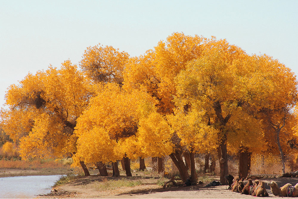 20200605380444.jpg 干货 1.jpg