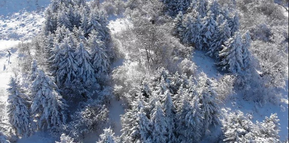 20200818301665.jpg 图片.jpg