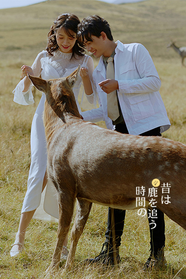 成都婚纱照|婚纱照风格|旅拍婚纱照|川西旅拍|新疆新疆|青海旅拍|大理旅拍